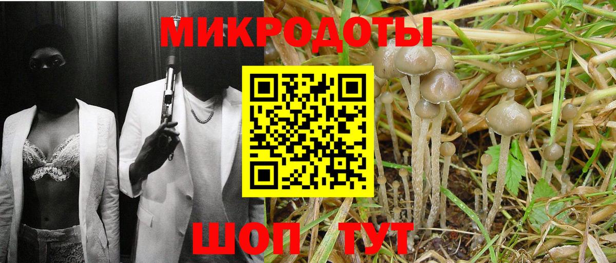 Галлюциногенные грибы прущие грибы Балашов
