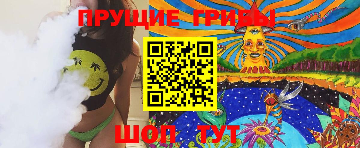 Псилоцибиновые грибы прущие грибы  как найти   Балашов  Вход с VPN 